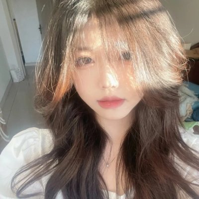 艾哈迈德王子历险记